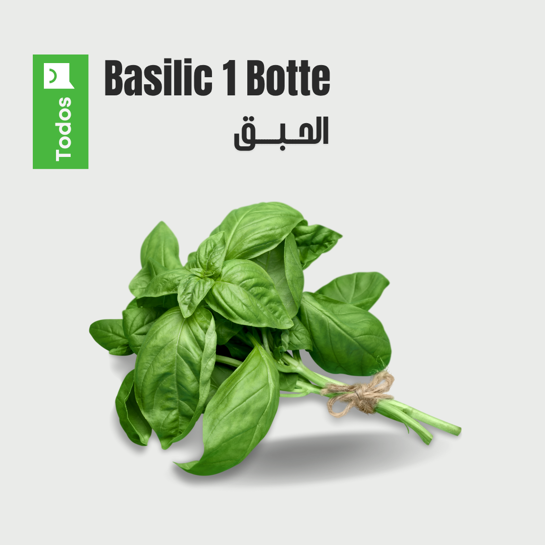 Basilic 1 botte