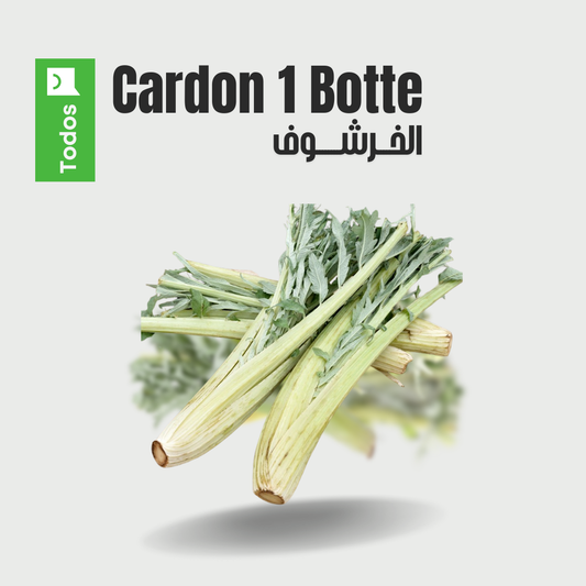 Cardon 1 botte