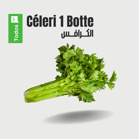 Céleri 1 botte