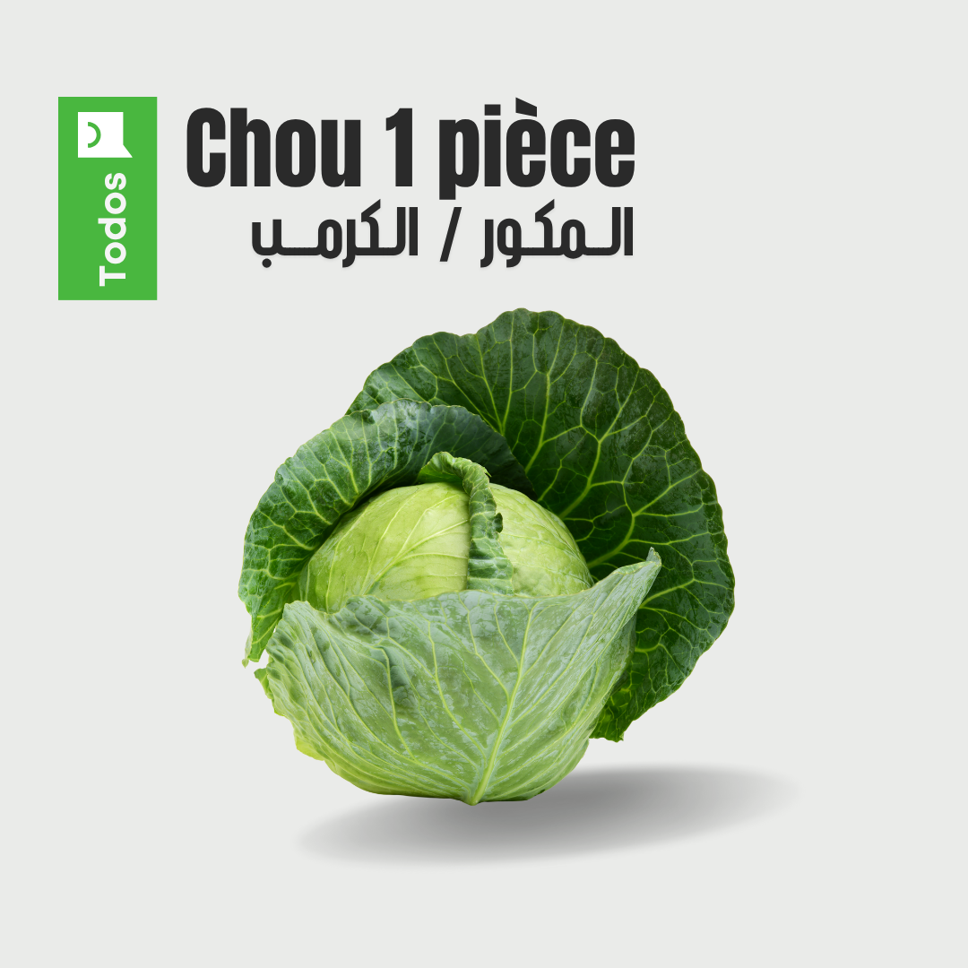 Chou 1 pièce