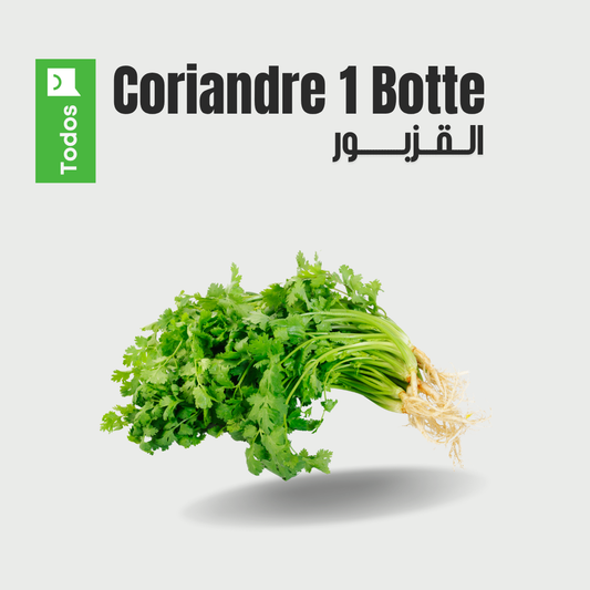 Coriandre 1 botte