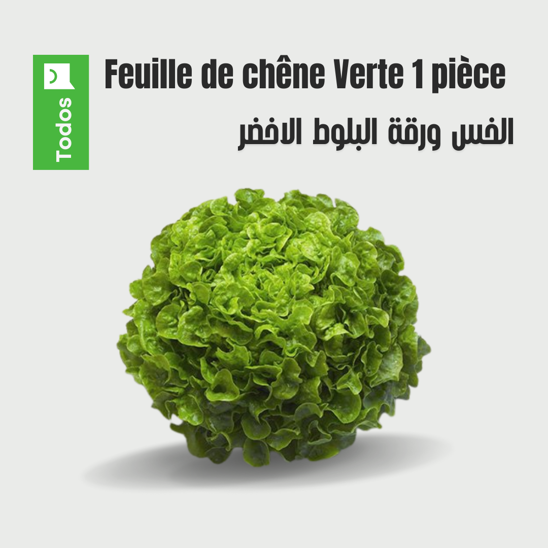 Laitue feuille de chêne verte 1 pièce