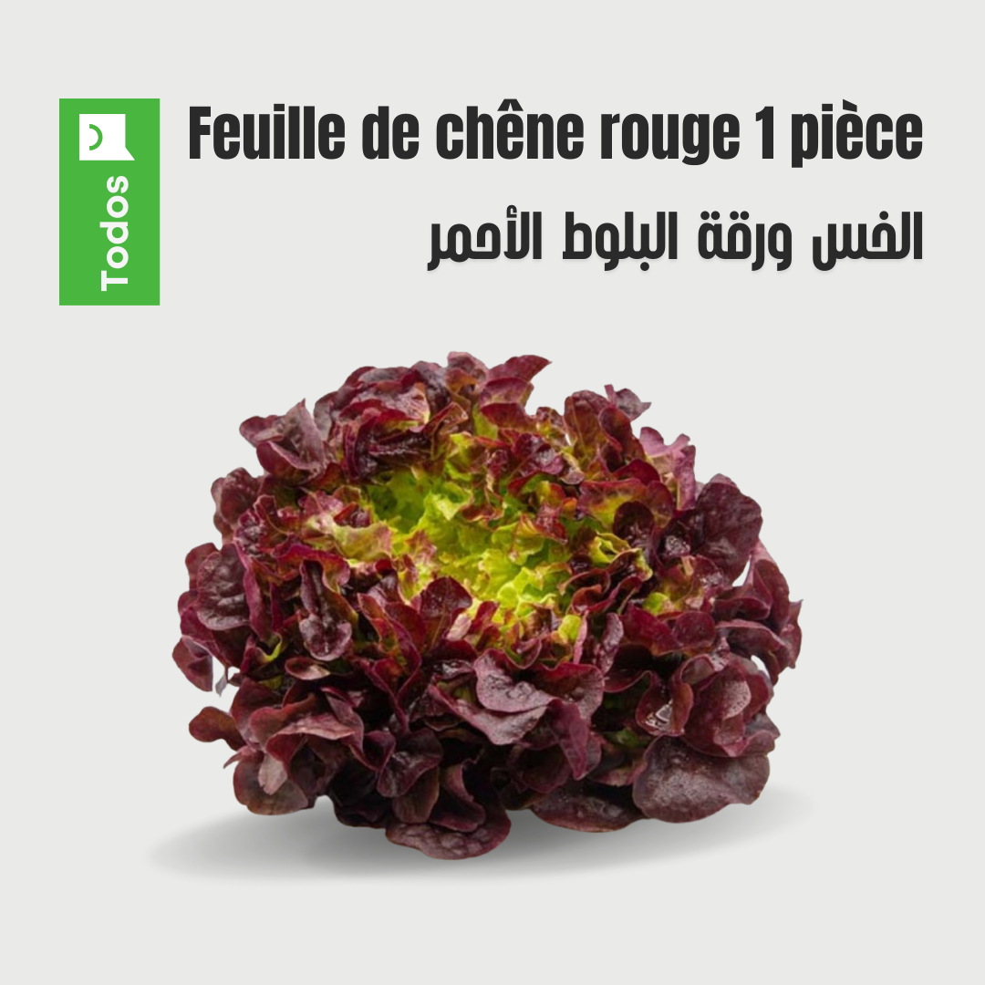 Laitue Feuille de chêne rouge 1 pièce
