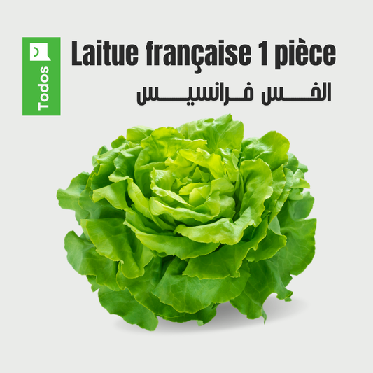 Laitue française 1 pièce