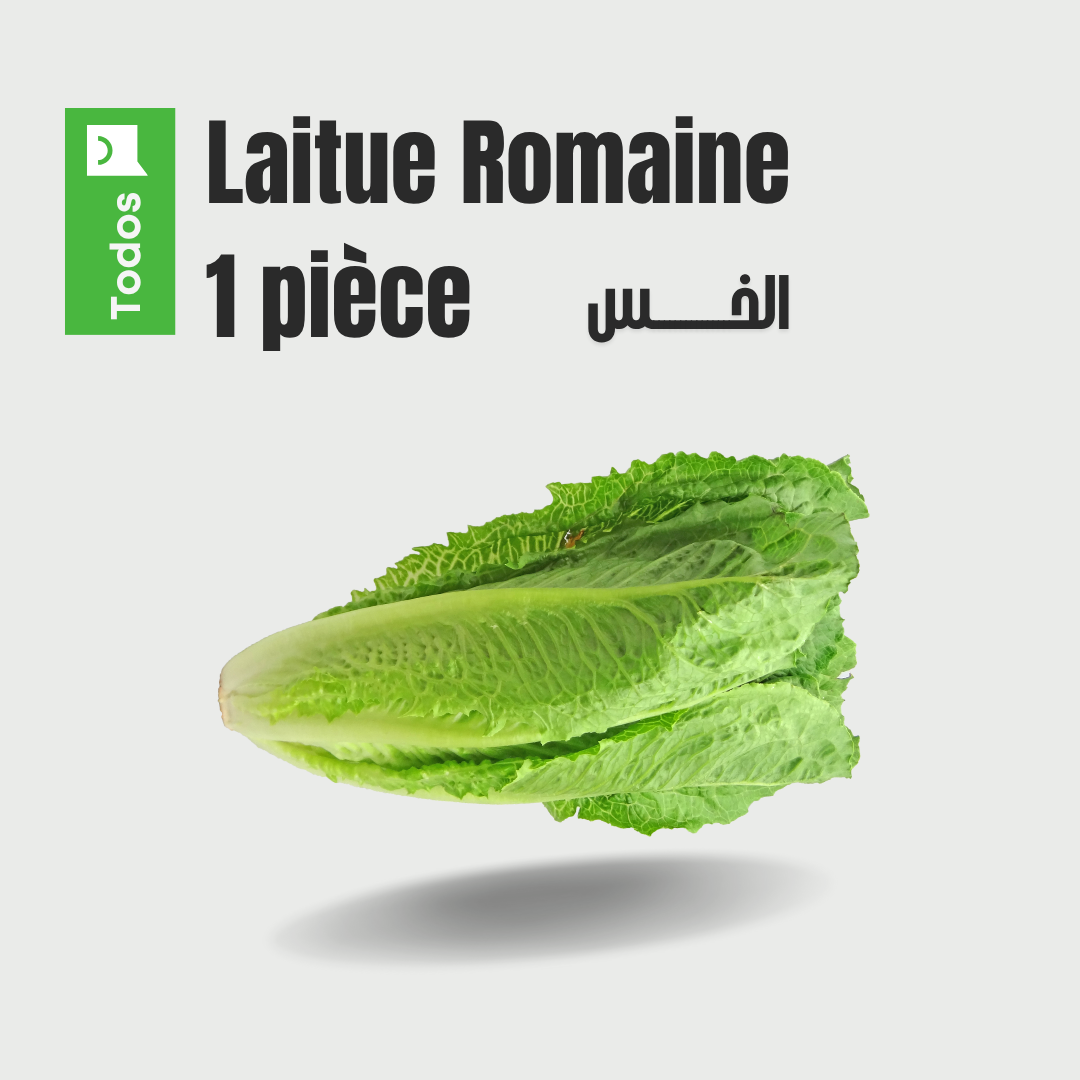 Laitue Romaine 1 pièce