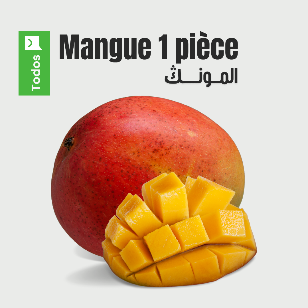 Mangue 1 pièce