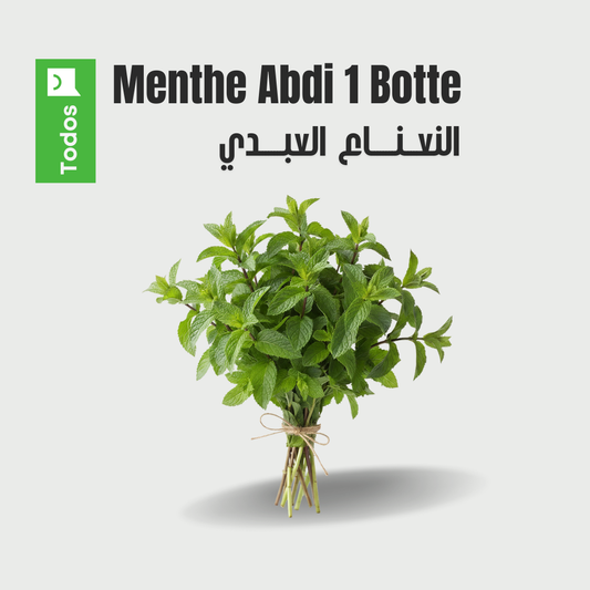 Menthe Abdi 1 Botte