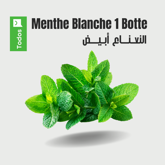 Menthe Blanche 1 Botte