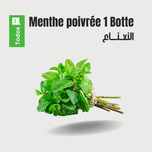 Menthe poivrée 1 botte