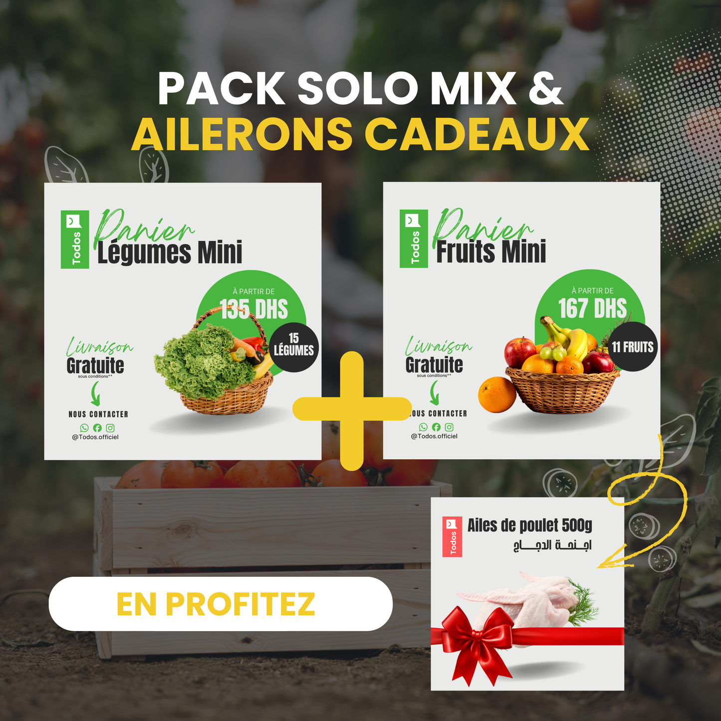Pack Solo Mix & Ailerons Offerts