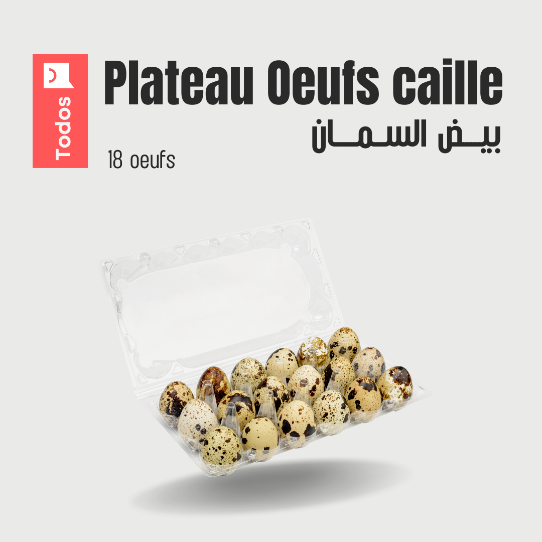 Plateau Oeufs de caille