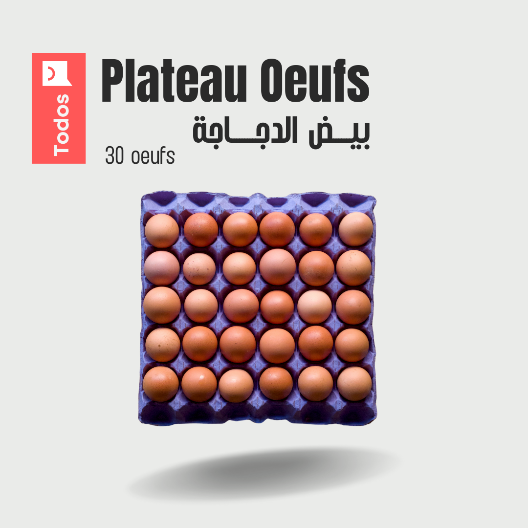 Plateau Oeufs
