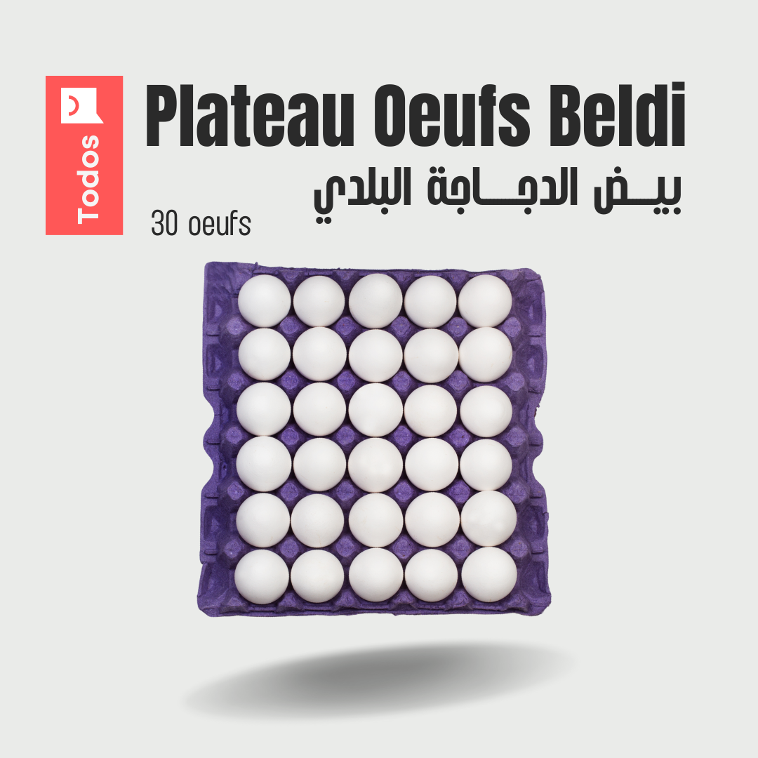 Plateau Oeufs Beldi