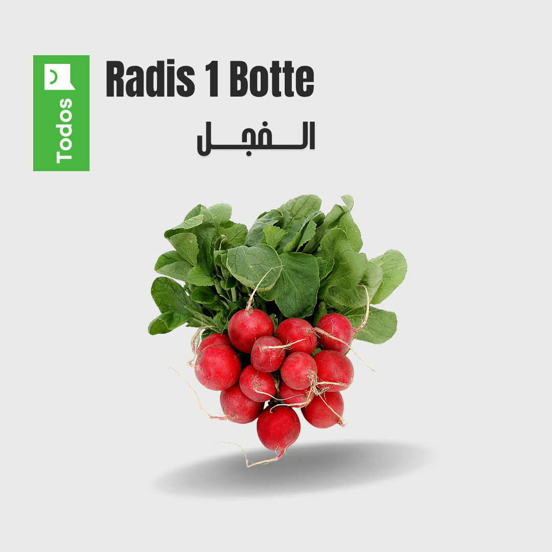 Radis 1 botte