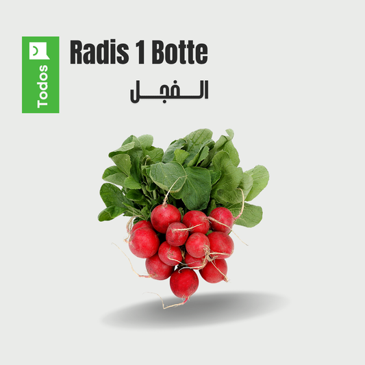 Radis 1 botte