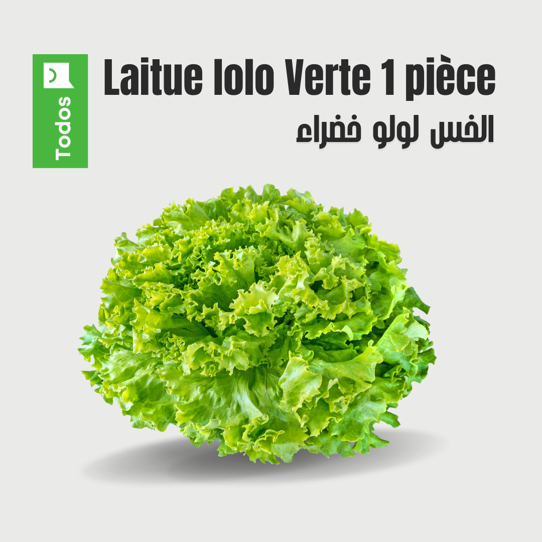 Laitue lolo Verte 1 pièce