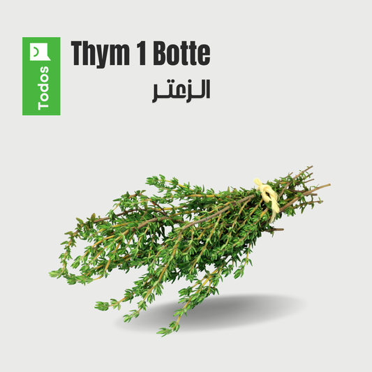 Thym 1 botte
